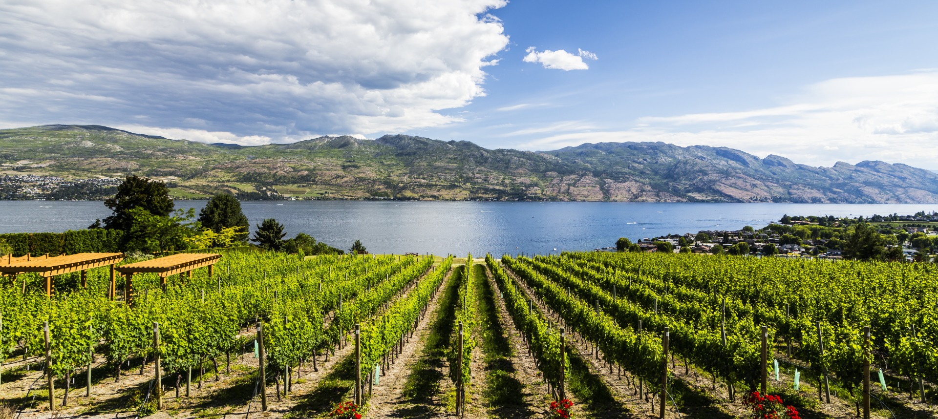 Adventure Around Kelowna on an E-Bike | okekruise.com